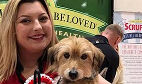 Crufts 2017: Finalists for Scruffts Family Crossbreed Dog of the Year