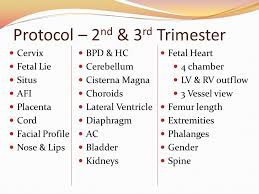 Obstetrical Measurements 2nd 3rd Trimester Ppt Video