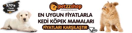 Kedinin Piresi Nasil Temizlenir Kedilerde Pire Tedavisi