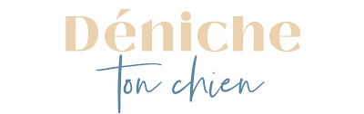 Déniche Ton Chien