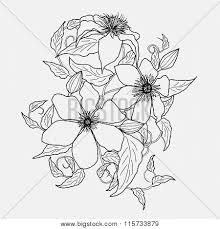 We did not find results for: Clematis Flower Vector Photo Free Trial Bigstock