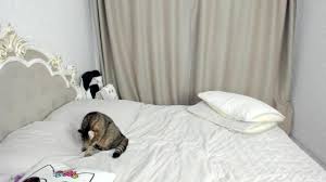 Missblondecutie - [Hot Chaturbate] private whores tall spy cam