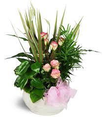 Erie's manufacturing sector remains prominent in the from a very accommodating chain hotel to a charming bed and breakfast, erie, pa has plenty of options to make you feel right at home while still. Sweet Memories Sympathy Planter Erie Pa Florist