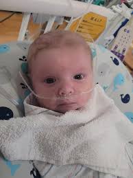 My baby ( 6 mths ) Caleb Noseheart.