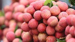 Bạn có thể đã từng thử qua nước ép củ dền. Tá»•ng Há»£p Ä'áº·c Sáº£n Báº¯c Giang Táº¥t Cáº£ 27 Ä'áº·c Sáº£n Ná»•i Tiáº¿ng Cá»§a Báº¯c Giang