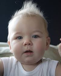 This visual isn't just for kids! Take a moment to look at each category and  challenge yourself (and your family) to pick one fruit or vegetable per  color. What are some of