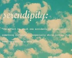 Risultati immagini per serendipity