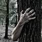 Myra Canyon Scare Park event image