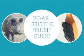 Natural boar bristle beard brush mini mens mustache hair shaving facial cleaning. Boar Bristle Brush For Healthier Hair Guide Personal Reviews 4 2020