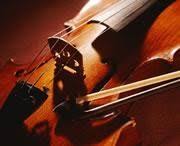 This brand was established in 1981 in punjab, india. Violin Makers Can T Pick Out Good Wood Nature