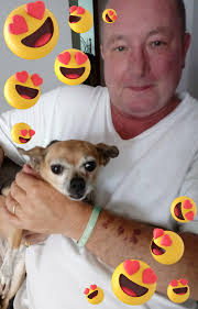 Betsy, the Bitsy Chihuahua