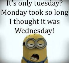 See more ideas about funny, funny quotes, morning quotes funny. 95 Funny Tuesday Memes And Pun Quotes With Images Littlenivi Com