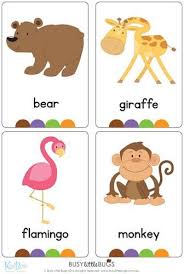 Zoo Flash Cards Hayvan Kartlari Ogrenme Kartlar