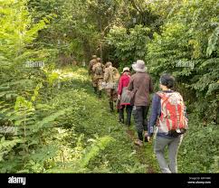 Image result for Brazzeia longipedicellata