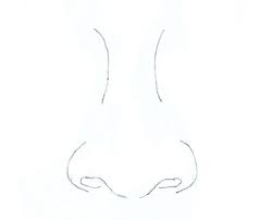 Wendy nelson :)🔔 subscribe for m. We Draw A Nose Of The Person The Basics Of Drawing A Portrait Proportions And Perspectives Nose Lessons