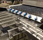 Perfect Blueberry Sorting - GP Graders