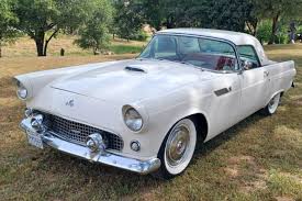 Image result for Snowshoe White 1955 Thunderbird