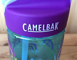 Need a new water bottle? Review Camelbak Water Bottle Fionaoutdoors