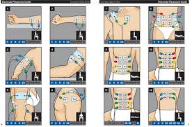 We did not find results for: Us Pad Placement Hammer Nutrition