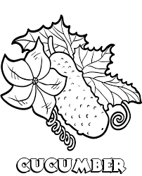 Cucumber coloring page to download and coloring. Cucumber Coloring Page With Name Topcoloringpages Net