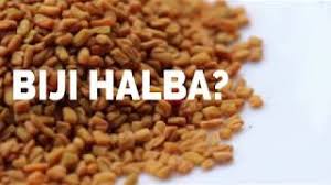 Ubat berasaskan halba untuk penyakit kencing manis dan pelbagai jenis penyakit. Manfaat Biji Halba Youtube