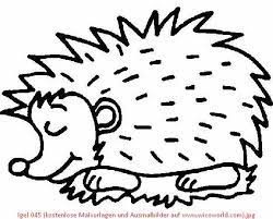 Ausmalbilder Igel Kostenlos Ausmalbilder Kostenlos Desenho De Ourico Desenhos Para Colorir Colorir