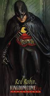 Red Robin Robin Tim Drake Batman The Dark Knight Robin
