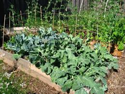 Welcome to garden joy dismiss. Home Garden Joy Home Facebook