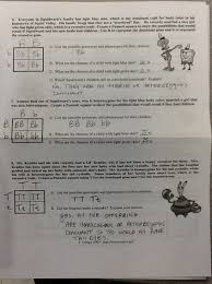 Yeah, reviewing a book spongebob genetics dihybrid answer key could amass your near links listings. In Class This Week 2014 15 Sulli S Science Site