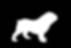 The magazine for Alumni of Western Illinois University