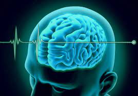 El año 1968 fue crucial en este tema, ya que en ese año la escuela de medicina de harvard publica medicina intensiva, vol. Sabes Cual Es La Diferencia Entre La Muerte Cerebral Y El Estado De Coma Afmedios Agencia De Noticias