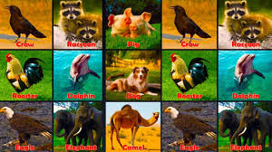 Learning Animals Sounds For Children Learn Animals Names For Kids And Toddlers Learn Wild Animals Animals Wild Animal Sounds Toddler Learning