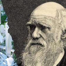 Natural History, Not Technology, Will Dictate Our Destiny