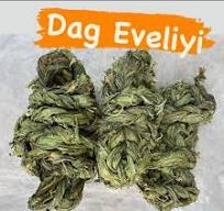 Dag Eveliyi . . . #evelik #dageveliyi #evelik