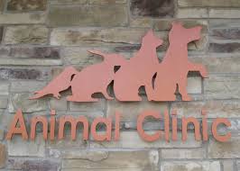 Do you live in hoboken, nj with a dog or cat? The Animal Clinic Of Bayonne Home Facebook