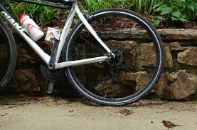 Parc zoologique de plaisance du touch 3.9 km. Randonneur 5000 Audax Club Parisien Randonneur