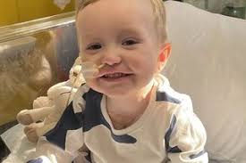 Aristocrats land crown