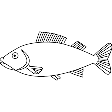 Free Image On Pixabay Fish Sea Animal Water Ocean Fish Coloring Page Fish Outline Fish Art