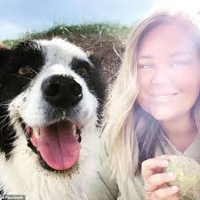Check spelling or type a new query. Traumatising Moment A Woman S Pet Border Collie Killed Is By A Passing Car Daily Mail Online