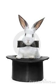 A View Of A Rabbit With Bow Tie In A Hat Funny Cute Pet Pet Bunnies The Magicians