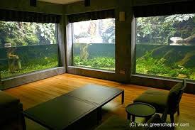 Otrzymaj 15.840 s stockowego materiału wideo aquarium fish swim slowly. Sunken Garden Www Greenchapter Com Also Very Cool Idea With A Retic Or Other Large Semi Aquatic Guys Home Aquarium Aquarium Fishing Room