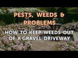 Shoveling up the top layer of dirt and weeds. How To Keep Weeds Out Of A Gravel Driveway Youtube