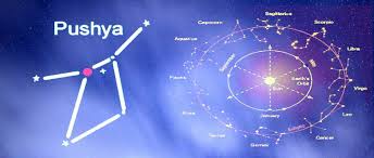Read Detailed Information About Pushya Tishya Nakshatra Nakshatra Http Www Vedshastra Com Horoscope Nakshatras Pushya Teaching Profession Marriage Life Male