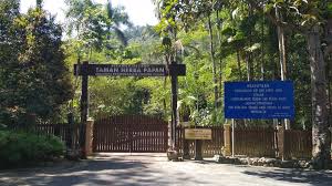 Taman herba also known as the herbs park is a stunning nature park located in perak, malaysia. Papan Recreational Forest Reserve Steemit