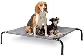 Lo sapevi che ci sono 102 annunci, affari, oggetti e offerte di lavoro che ti aspettano su kijiji? Bedsure Brandina Per Cani Grande Brandina Cane Taglia Grande Lettino Per Cani Estivo Sopraelevato 124x90x20 Cm Grigio Amazon It Prodotti Per Animali Domestici