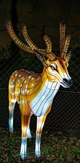 Especes En Voie D Illumination Jardin Des Plantes Paris Voyante Museum National D Histoire Naturelle