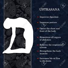 Yoga Pose Infographics Benefits Of Practice Ustrasana Royalty Free Cliparts Vectors And Stock Illustration Image 51864799