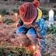 Winter Solstice Celebration 2025 event image