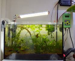 Maybe you would like to learn more about one of these? Ikea Grow Light For Plants Uk Aquatic Plant Society