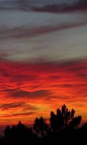 Gambar animasi motor bergerak dp kartun sepeda motor. Oppo A3s Wallpapers Hd Garena Free Fire Wallpaper Hd Fanart Super Keren 1080x1920 Wallpapers Hd Wallpaper Wa Free Fire Wallpaper Garena Free Fire Wallpapers